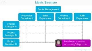 Matrix Organisational Structure  AZ of business terminology [upl. by Adur]