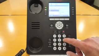 Basic Call Handling with your Avaya IP Office Phone [upl. by Drawyah]