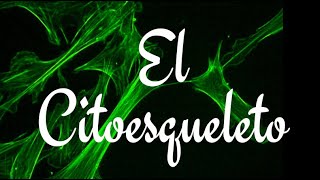 EL CITOESQUELETO [upl. by Asyal]