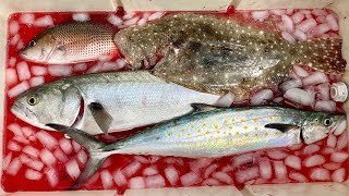 How To Bleed Saltwater Fish For Cleaner Fish Fillets [upl. by Borreri492]