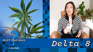 What is delta8 What to know about diet weed and its safety  JUST CURIOUS [upl. by Darrelle830]