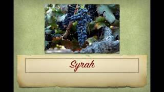 Winecast Syrah [upl. by Mcripley]