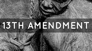 The Thirteenth Amendment Black History Moment [upl. by Aerdua]