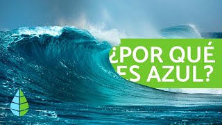 Por qué el MAR es AZUL 🌅 CURIOSIDADES sobre el MAR [upl. by Lasorella]