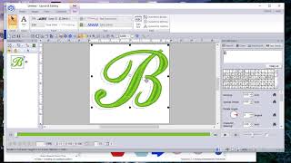 Applique 101 Lesson 3  PE Design 11 [upl. by Gamages924]