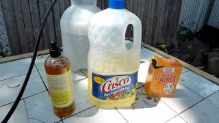 How to DIY Organic InsecticideFungicide recipe [upl. by Josee966]