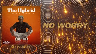 Wanzi  No Worry 01 Official Lyric Visualizer [upl. by Martine]