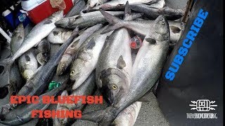 EPIC BLUEFISH FISHING TRIP  MISS BELMAR PRINCESS NEW JERSEY [upl. by Ahsied]