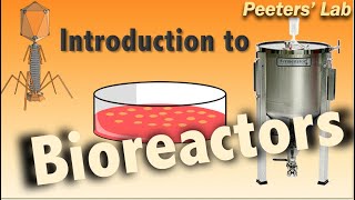 Introduction to bioreactors [upl. by Norina]