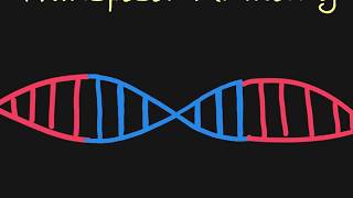 Introduction to Transposons [upl. by Ansilma]