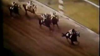 Secretariat Triple Crown Triumphs [upl. by Hanej]