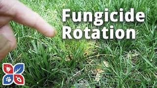 Lawn Fungicide Rotation Applications  Lawn Care Disease Control  DoMyOwncom [upl. by Gebhardt]