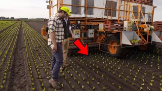 Advanced Agriculture Planting Technology  Modern Agriculture Technology  New Farming Technology [upl. by Niarbo188]