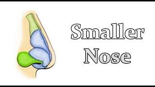 Shrink Your Nose  Get a Smaller Nose  Permanent CHANGE SUBLIMINALFREQ [upl. by Isidora]