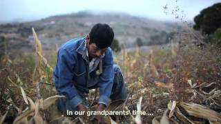 Stay Migration and poverty in rural Mexico [upl. by Bristow]