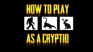 The Cryptid Tier List [upl. by Concepcion379]