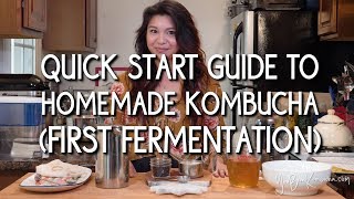 Quick Start Guide to Homemade Kombucha First Fermentation [upl. by Eniliuqcaj]