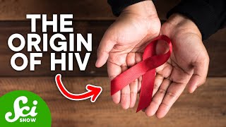 How HIV First Started in Humans [upl. by Ramsey]