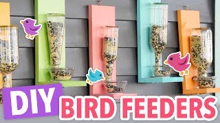 DIY Bird Feeders [upl. by Pierro914]