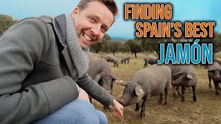 Where Does Spains Best Jamón Come From [upl. by Roane269]