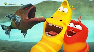 Fishing  Larva  Cartoons for Kids  WildBrain Kids [upl. by Anaugahs]