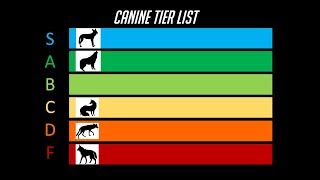 The Dog Tier List [upl. by Irehc]