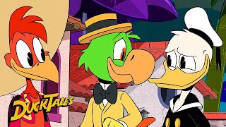 The Three Caballeros Reunite  DuckTales  Disney XD [upl. by Tenom]