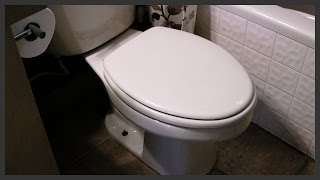 How to fix a loose toilet seat [upl. by Reinhard]