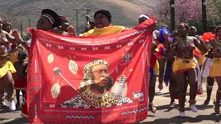 ZULU MAIDENS PMB TRADITIONAL DANCE [upl. by Guido]