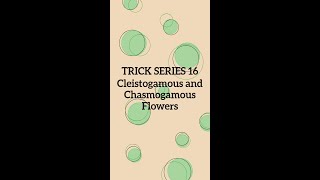 Trickseries16 Cleistogamous and Chasmogamous flowers [upl. by Evot]