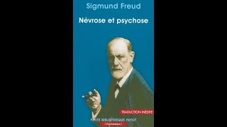 ➡️ La psychose  Paranoïaque schizophrène bipolaire comment les comprendre   La psychanalyste [upl. by Erbma]