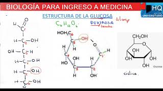 ¿Que es la glucosa [upl. by Hallvard]