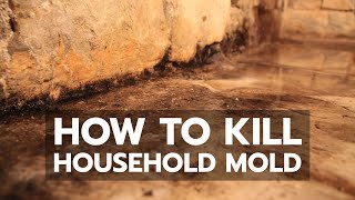 How to Kill Household Mold [upl. by Elman985]