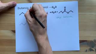 Memorize The 20 Amino Acids  The Easy Way [upl. by Michi347]