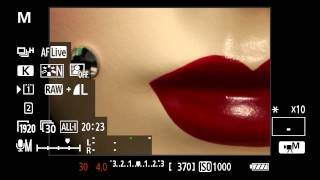 Canon EOS 5D Mark III  Tutorial Basic Video Operation 814 [upl. by Ritchie]