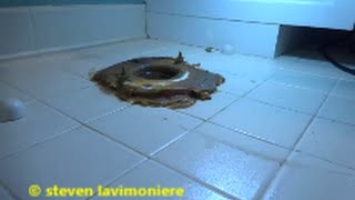 toilet water leaking through floor [upl. by Patrick]