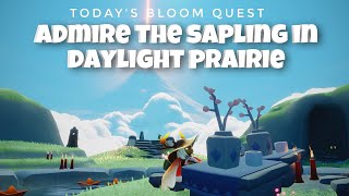 Bloom Quest Admire the Sapling in Daylight Prairie  sky children of the light  Noob Mode [upl. by Weyermann865]