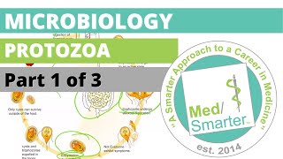 Protozoa  Microbiology  USMLE STEP 1  Part 1 of 3 [upl. by Poirer]