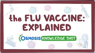 The flu vaccine explained [upl. by Trebron]