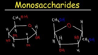 Monosaccharides  Glucose Fructose Galactose amp Ribose  Carbohydrates [upl. by Micky]