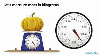 Using a Scale  Kilograms [upl. by Akere165]