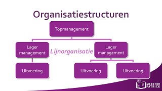 Organisatiestructuren  Bedrijfseconomie [upl. by Nnav]