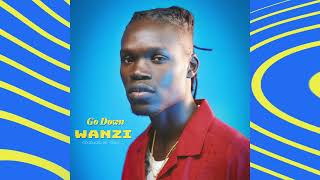 Wanzi  Go Down Official Audio [upl. by Whitver]