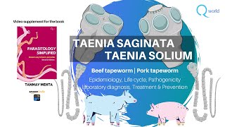 Taenia saginata and solium Parasitology Tutorials NEETPG NEXT USMLE UKMLE FRCPath Review [upl. by Rabush217]