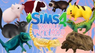 THE SIMS 4 SMALL PETS MOD CC SHOWCASE REVIEW [upl. by Ballman]