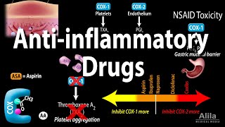 Antiinflammatory NSAIDs Drugs Pharmacology Animation [upl. by Yrrab]