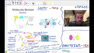 Molecules mindmap OCR A Level Biology 22 [upl. by Karrie]