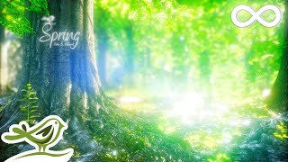 Spring • Beautiful Relaxing Music with a Flute Cello Guitar amp Piano [upl. by Lindgren]