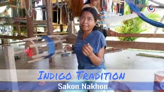 Sakon Nakhon  Weaving stunning traditional Indigo Fabrics [upl. by Eenerb]