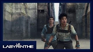 Le Labyrinthe  Extrait Les Coureurs Officiel VF HD [upl. by Alvinia]